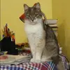 Отзыв от Зинаида Михайлова